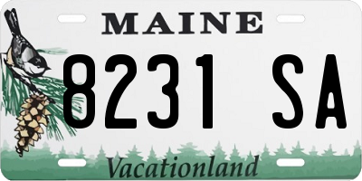 ME license plate 8231SA