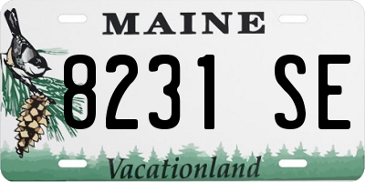 ME license plate 8231SE