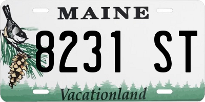 ME license plate 8231ST