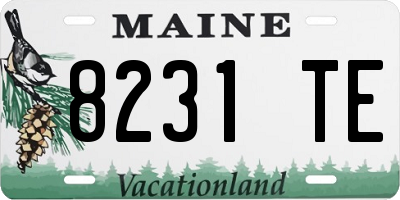 ME license plate 8231TE