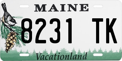ME license plate 8231TK