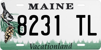 ME license plate 8231TL