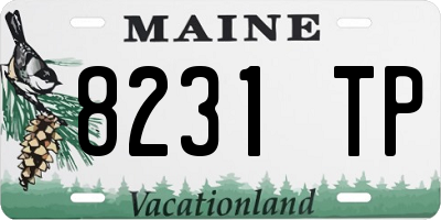 ME license plate 8231TP