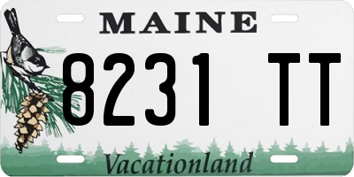 ME license plate 8231TT