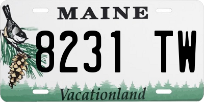 ME license plate 8231TW