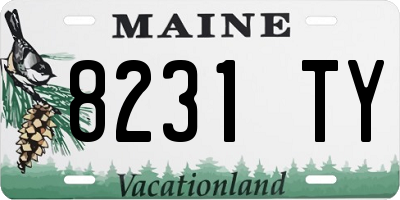 ME license plate 8231TY