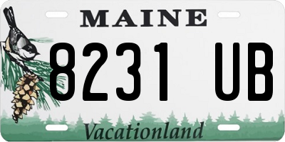 ME license plate 8231UB