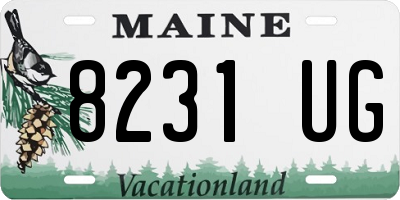 ME license plate 8231UG