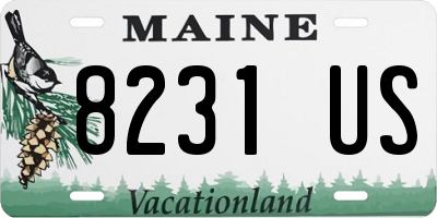 ME license plate 8231US