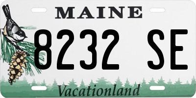 ME license plate 8232SE
