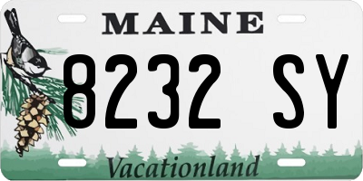 ME license plate 8232SY