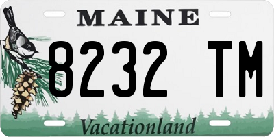 ME license plate 8232TM