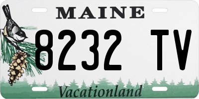 ME license plate 8232TV