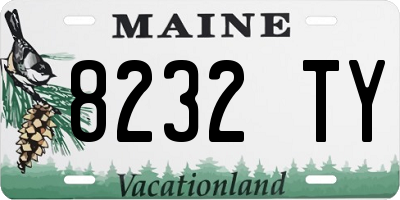 ME license plate 8232TY