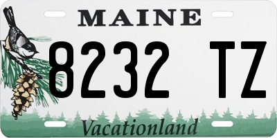 ME license plate 8232TZ