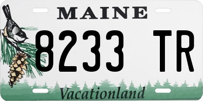 ME license plate 8233TR