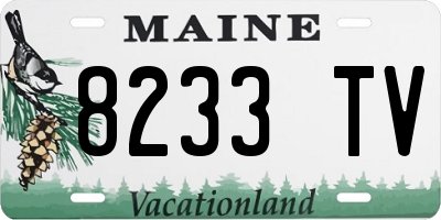 ME license plate 8233TV