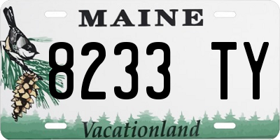 ME license plate 8233TY