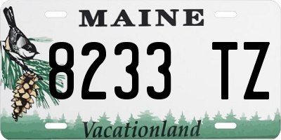 ME license plate 8233TZ