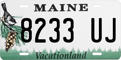 ME license plate 8233UJ