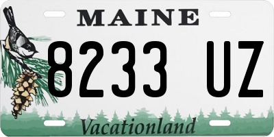 ME license plate 8233UZ