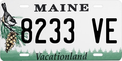 ME license plate 8233VE