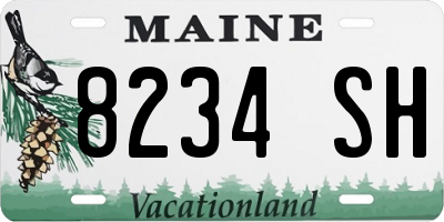ME license plate 8234SH