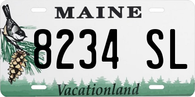 ME license plate 8234SL