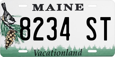 ME license plate 8234ST
