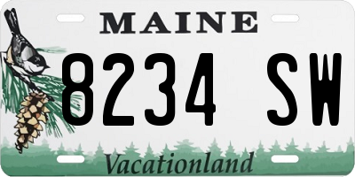 ME license plate 8234SW