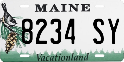ME license plate 8234SY