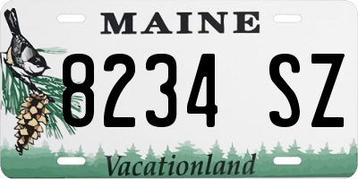 ME license plate 8234SZ