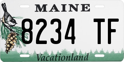 ME license plate 8234TF