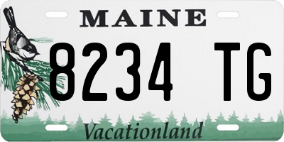 ME license plate 8234TG