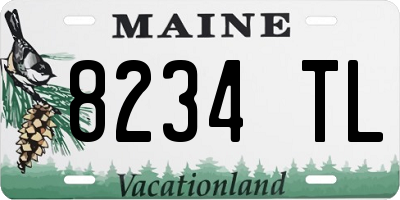 ME license plate 8234TL