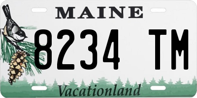ME license plate 8234TM