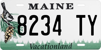 ME license plate 8234TY