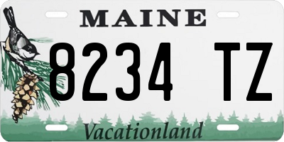 ME license plate 8234TZ
