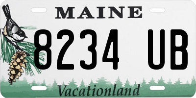 ME license plate 8234UB