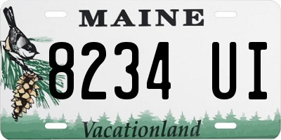 ME license plate 8234UI