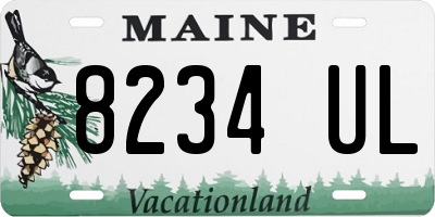 ME license plate 8234UL
