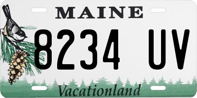 ME license plate 8234UV