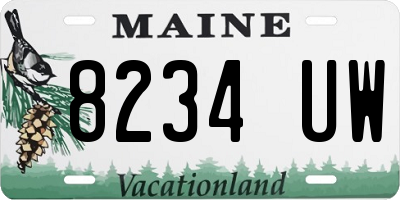 ME license plate 8234UW