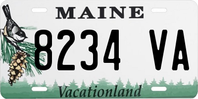 ME license plate 8234VA