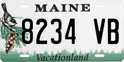 ME license plate 8234VB