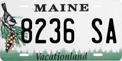 ME license plate 8236SA