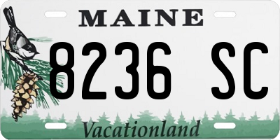ME license plate 8236SC