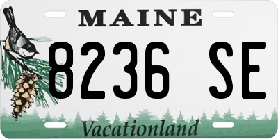 ME license plate 8236SE