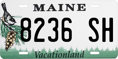 ME license plate 8236SH