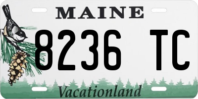 ME license plate 8236TC